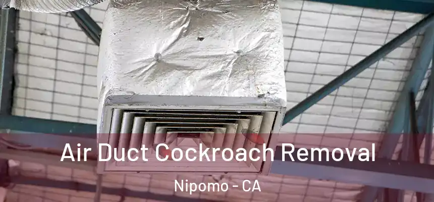  Air Duct Cockroach Removal Nipomo - CA