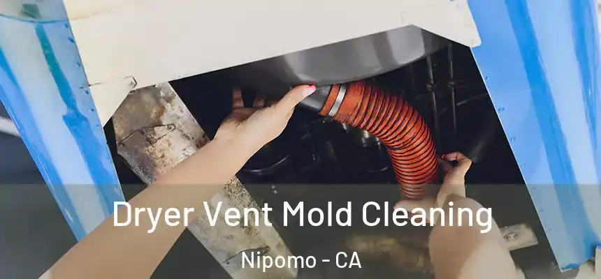 Dryer Vent Mold Cleaning Nipomo - CA
