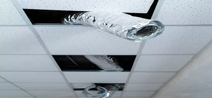 Our Air Duct Pet Hair Removal Services in Nipomo, CA