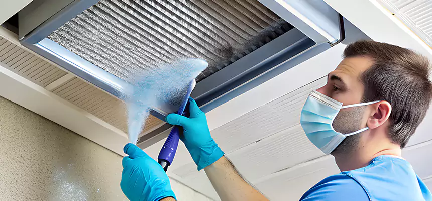 Proactive Dryer Vent & Auxiliary Duct Pollen Cleanup in Nipomo, CA