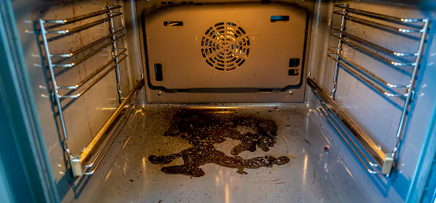 Our Dryer Vent Mold Cleaning Services in Nipomo, CA