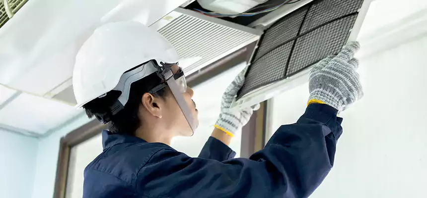 Our Mold & Mildew Removal from Air Ducts Services in Nipomo, CA