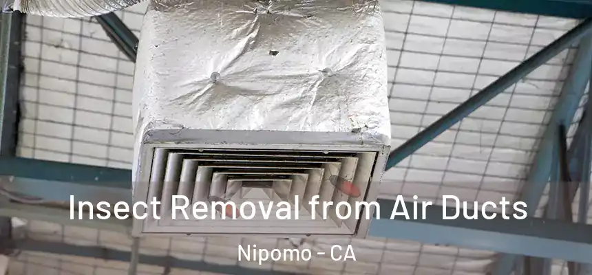  Insect Removal from Air Ducts Nipomo - CA