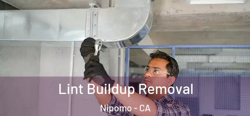  Lint Buildup Removal Nipomo - CA