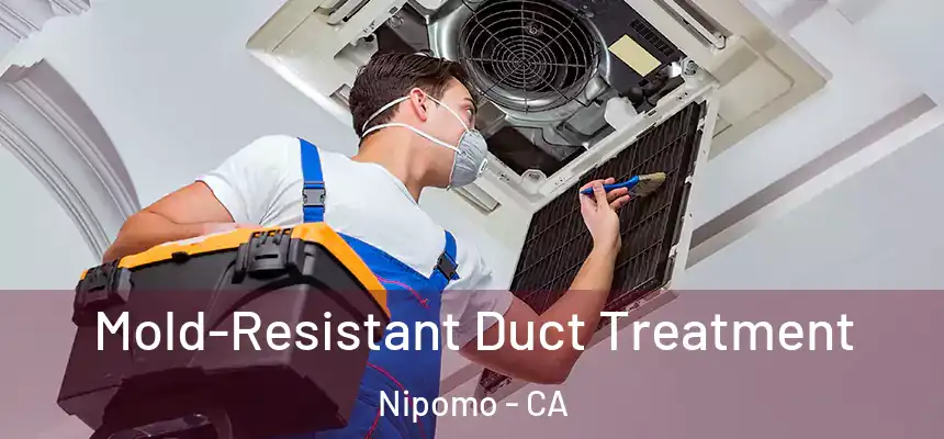  Mold-Resistant Duct Treatment Nipomo - CA