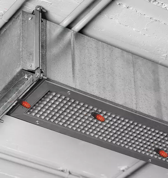 Affordable Insect Removal from Air Ducts in Nipomo, CA