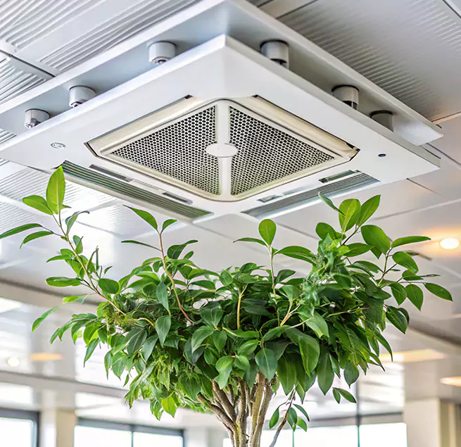 Why Homeowners & Businesses Trust Us in Nipomo, CA?