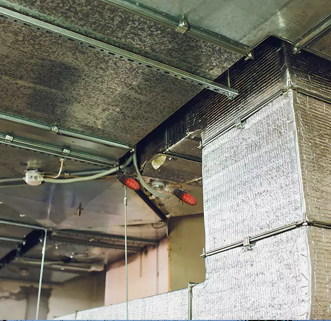 Why Homeowners & Businesses Trust Us Nipomo, CA?