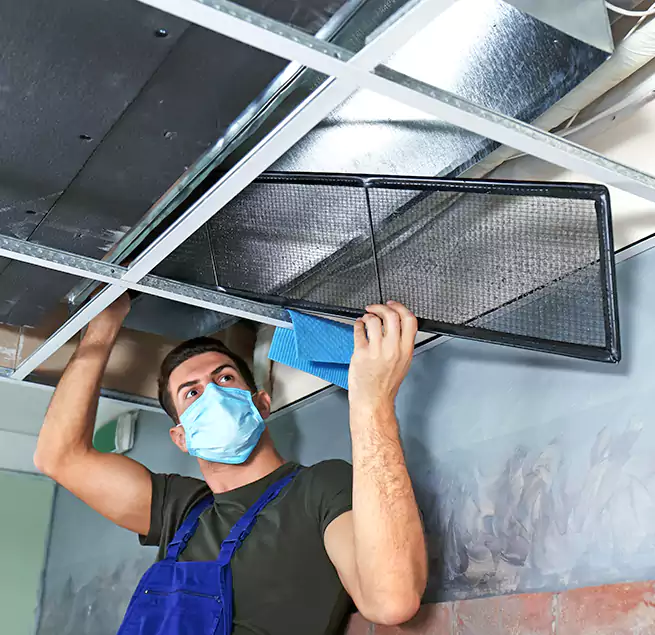 Why Homeowners Businesses Trust Us in Nipomo, CA